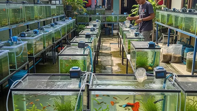 9 Ide Usaha Ternak Hewan Hias Potensial, Raih Cuan Maksimal dari Hobi