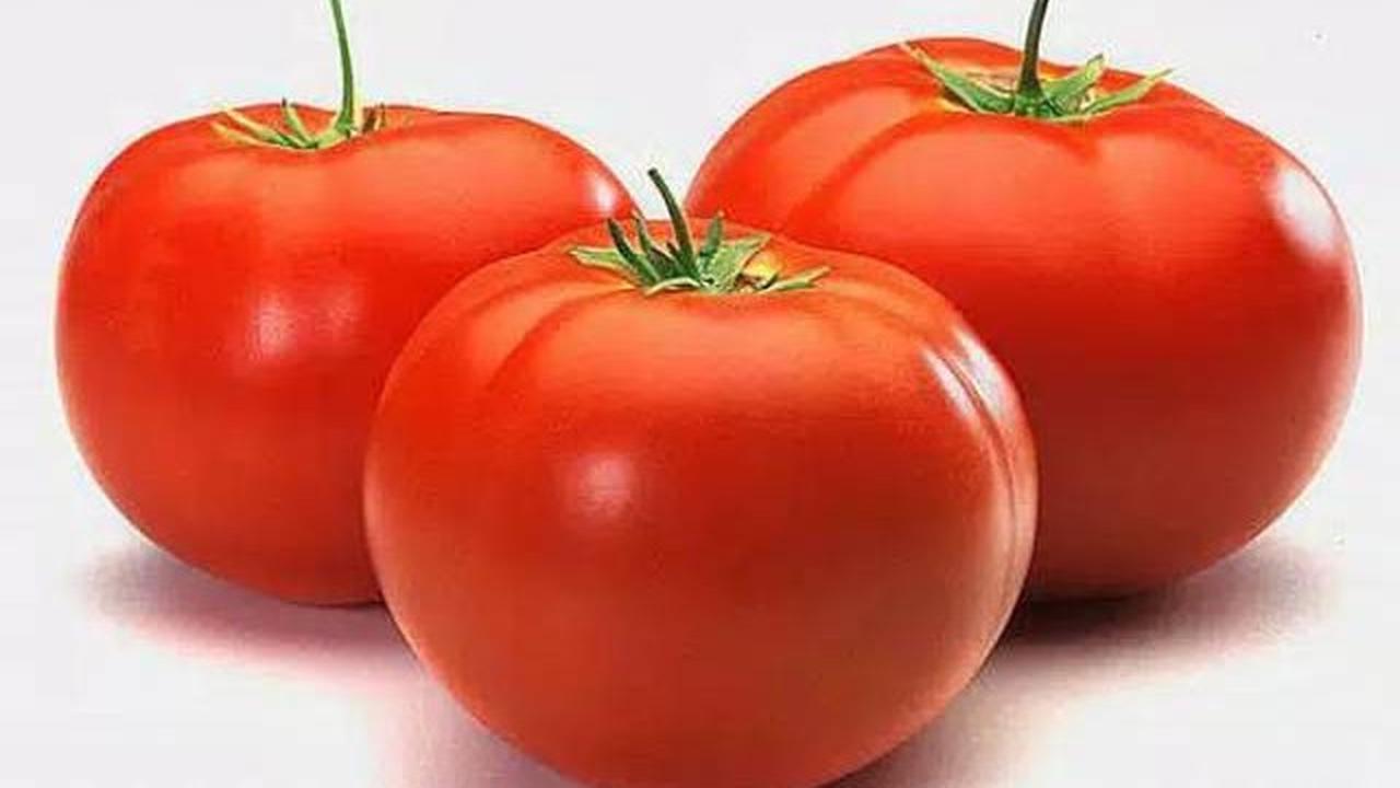 7. Tomat Apel: Bentuk Menyerupai Apel, Tekstur Padat