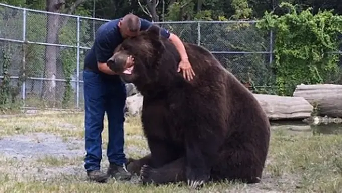 Photo: Copyright asiantown.net