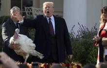 Harga BBM Meroket Tajam di AS, Senator Terang-terangan Salahkan Donald Trump