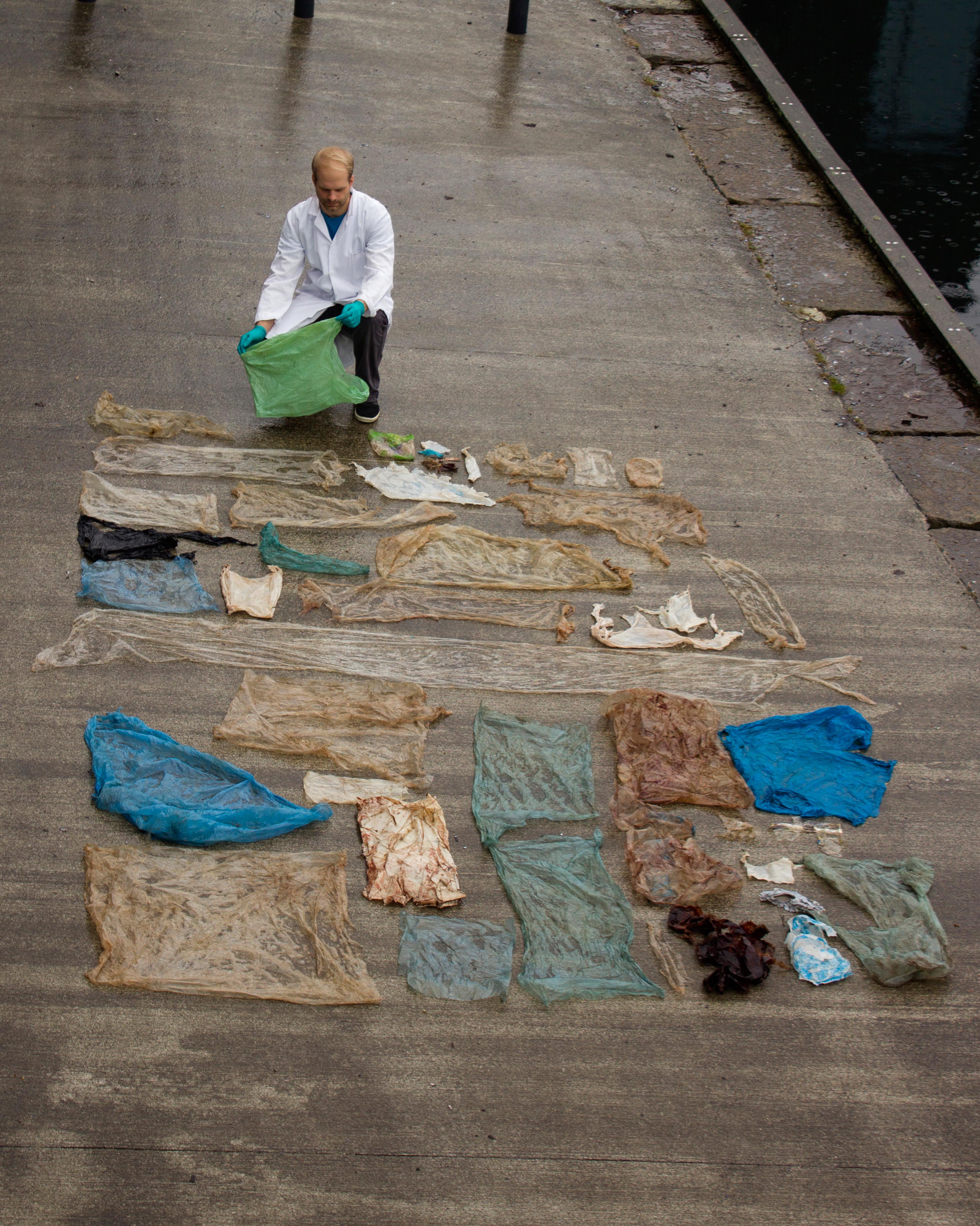 Peneliti dari Universitas of Bergen membeberkan plastik yang di dapat dari pembedahan perut seekor paus di perairan Sotra, Norwegia, Selasa (31/1). Mereka berharap agar manusia bisa menghargai alam. (AP Photo)
