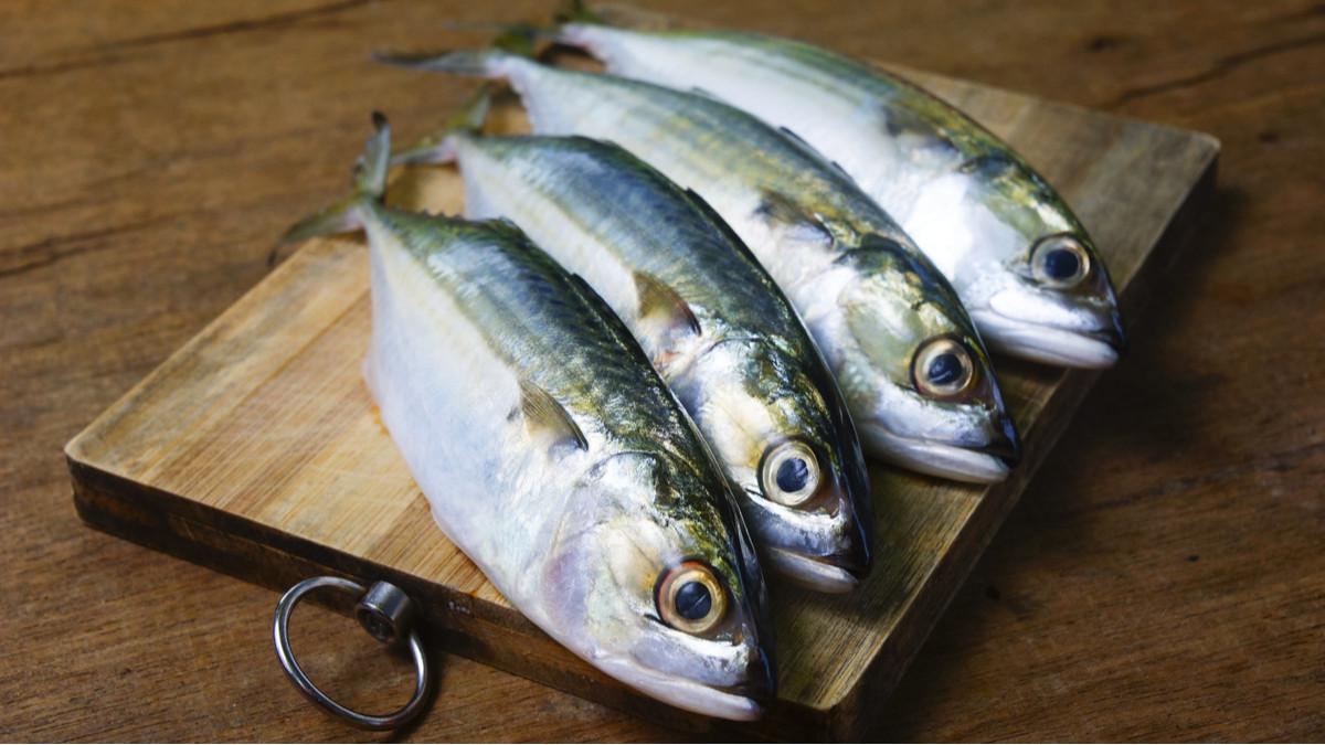 Ikan Tinggi Protein