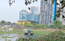 Eceng Gondok Menggunung di Waduk Pluit