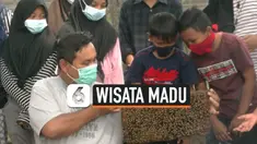 lebah thumbnail