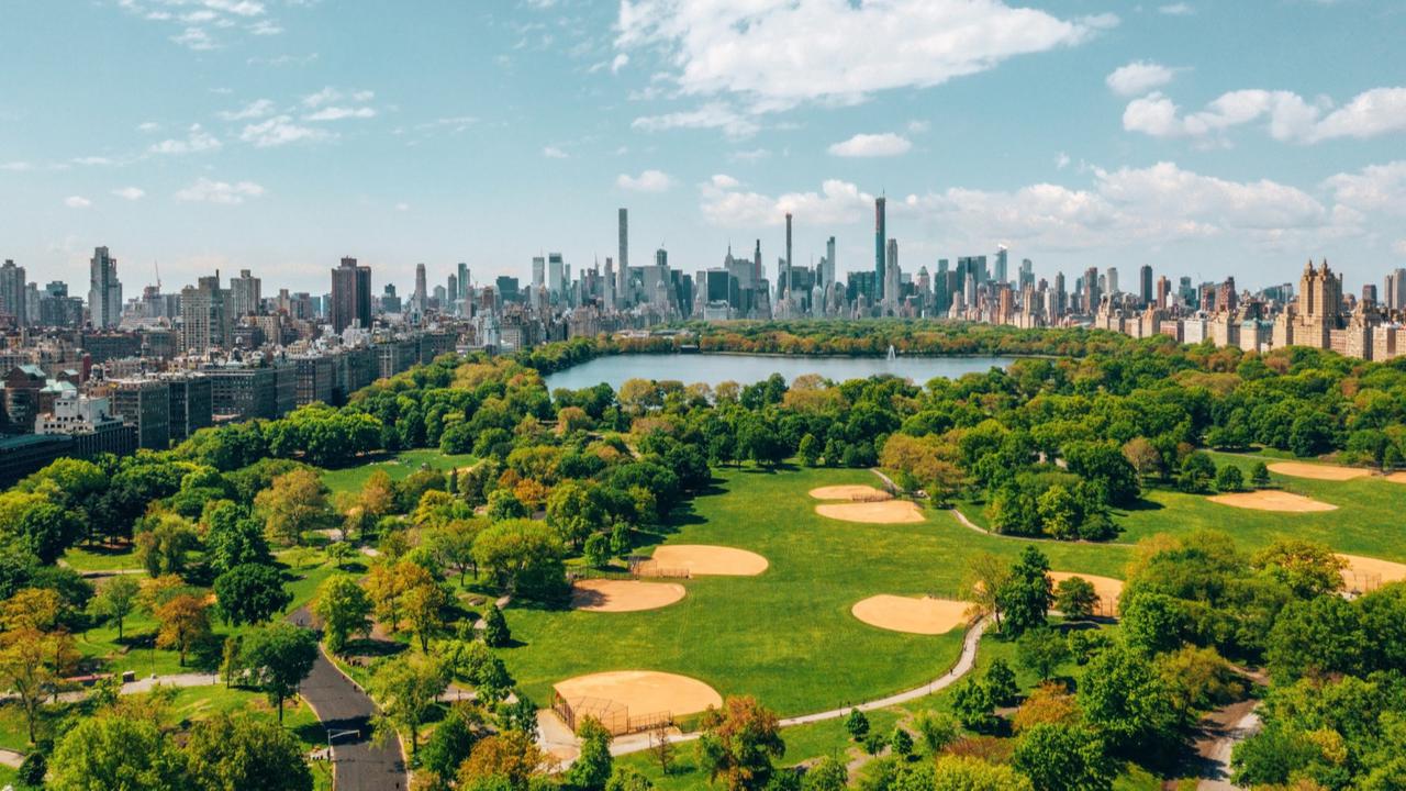 Ilustrasi Central Park New York