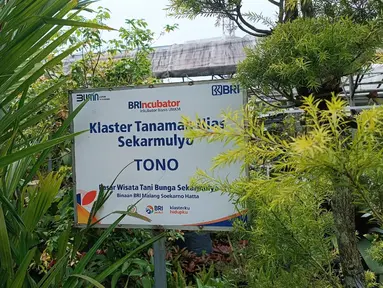 Pasar Wisata Tani Sekar Mulyo Kota Batu, Malang, Jawa Timur adalah salah satu klaster usaha binaan BRI lewat program Klasterku Hidupku BRI. Aneka fasilitas kemudahan dirasakan para anggota Klaster Tanaman Hias Sekar Mulyo, baik untuk urusan simpanan dan pinjaman, maupun transaksi dengan para pelanggan. (Dok. BRI)