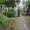Petugas Polres Ciamis tengah melakukan olah TKP di lokasi pembunuhan dan mutilasi di Dusun Sindangjaya, Desa Cisontrol, Kecamatan Rancah, Kabupaten Ciamis, Jawa Barat. (Liputan6.com/Jayadi Supriadin)