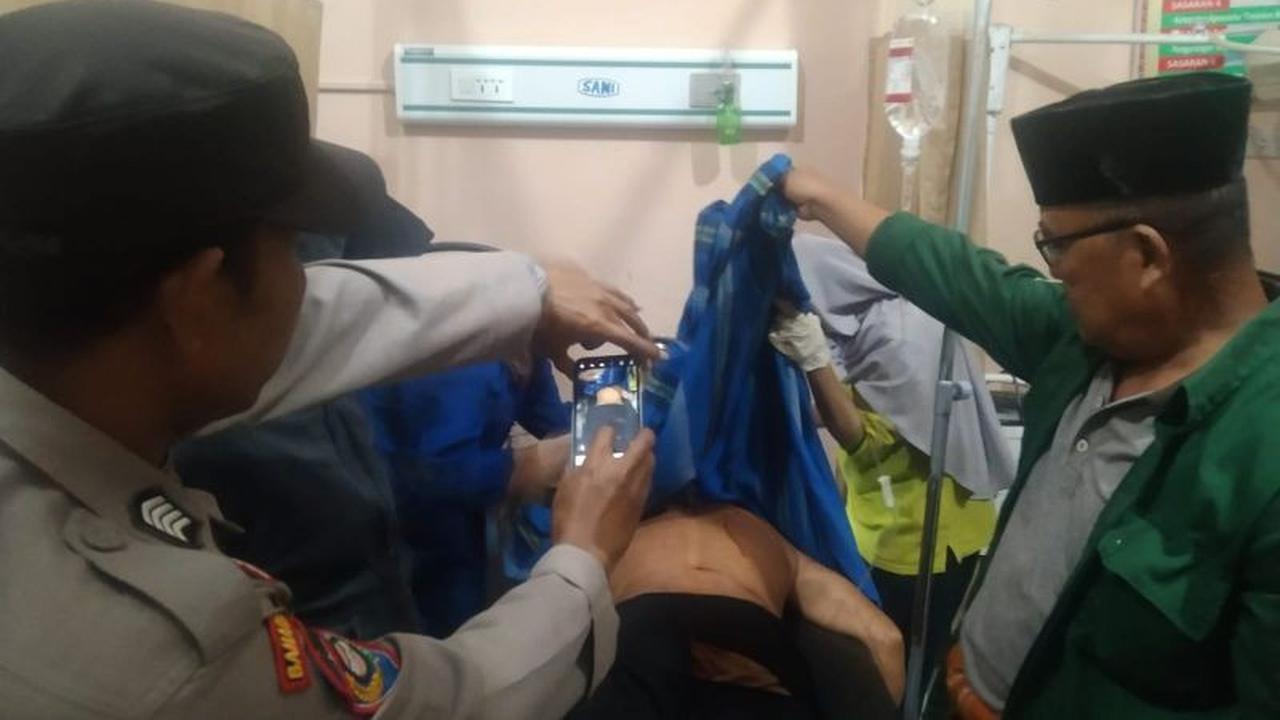 Tahukah Anda? Harimau Sumatera Terkam Petani di Lampung Barat, Warga Diminta Waspada