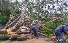 BPBD Laporkan Dampak Bencana Hidrometeorologi Sumbar, Fasilitas Umum Rusak Parah