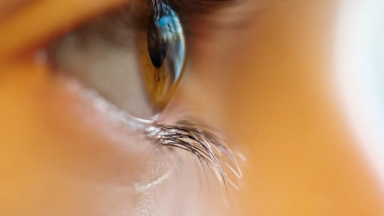 Lensa kontak/Unsplash Adrian