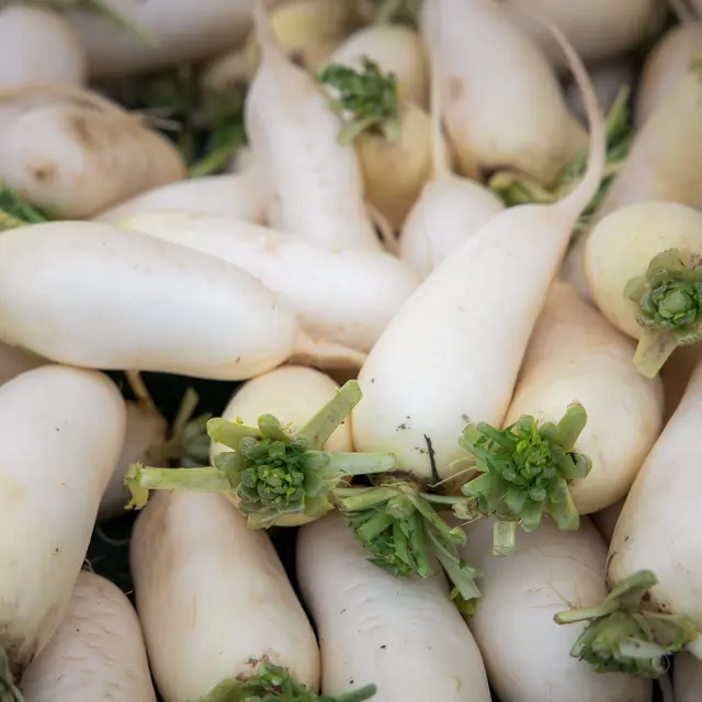 Manfaat Lobak Putih Untuk Kulit Rambut Dan Tubuh Beauty Fimela 