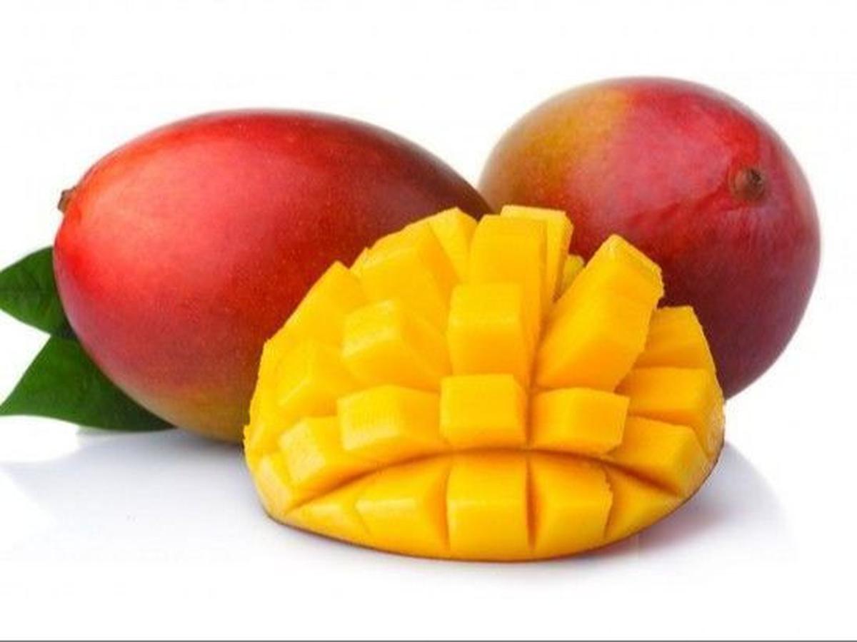 <b>2. Mangga</b>