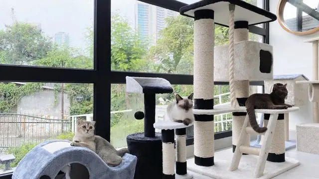 7 Potret Rumah Mewah Tyas Mirasih, Banyak Spot Instagramable