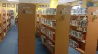 Krisis Buku Bacaan Budaya Melayu untuk Anak di Perpustakaan Batam