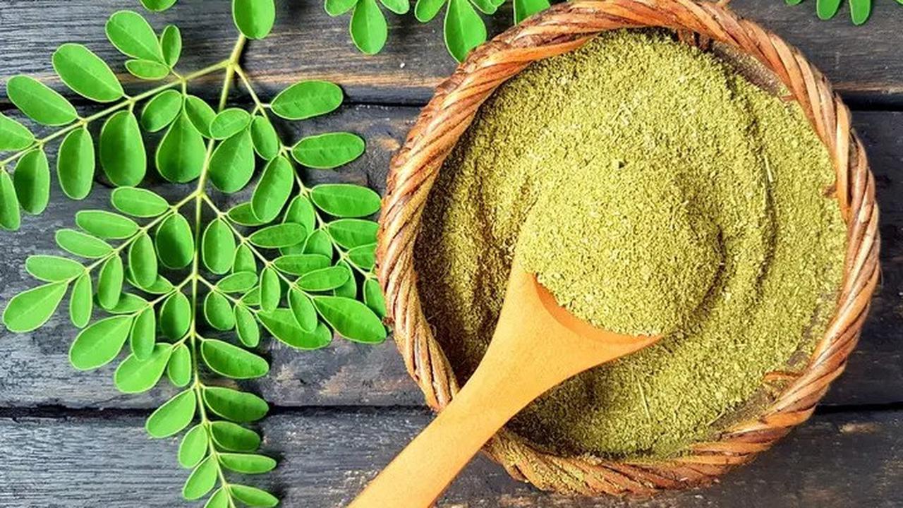Melancarkan Produksi ASI Sampai Masker Kecantikan, Inilah Manfaat Daun Kelor untuk Wanita yang Jarang Diketahui