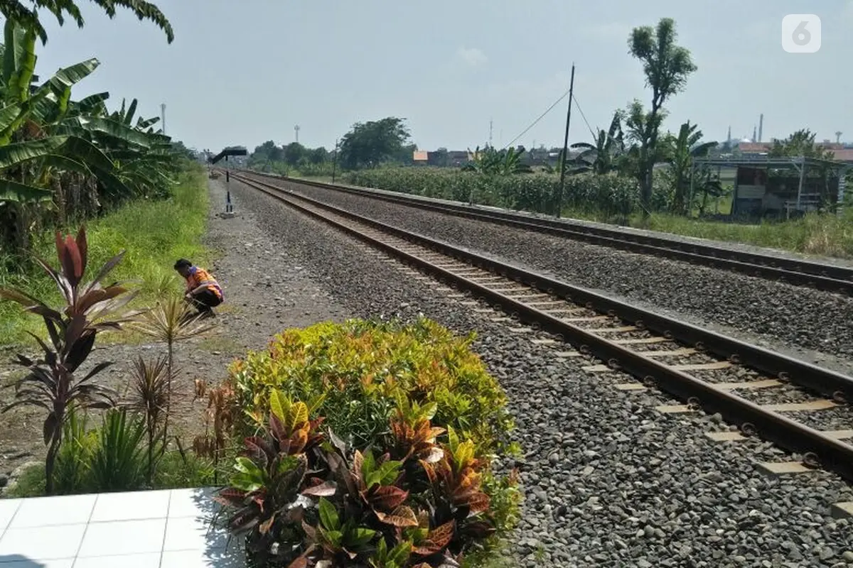 pejuang transportasi