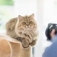 Cobain trik foto di berikut yuk!