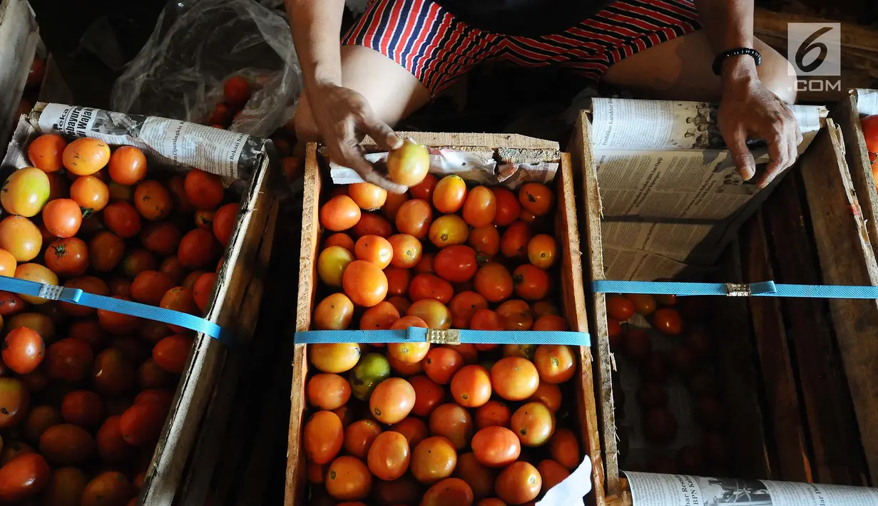 Pedagang memilah tomat di pasar induk Kramat Jati, Jakarta, Jumat (26/4). Kementerian Perdagangan siap menjaga harga dan ketersediaan barang kebutuhan pokok menjelang Puasa dan Lebaran 2019. (Liputan6.com/Herman Zakharia)