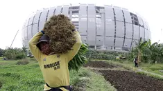Ada pemandangan menarik dibalik kemegahan Jakarta International Stadium (JIS) yang terletak di kawasan Papanggo, Jakarta Utara. Sejumlah warga memanfaatkan lahan kosong untuk bertani. (Bola.com/M iqbal Ichsan)
