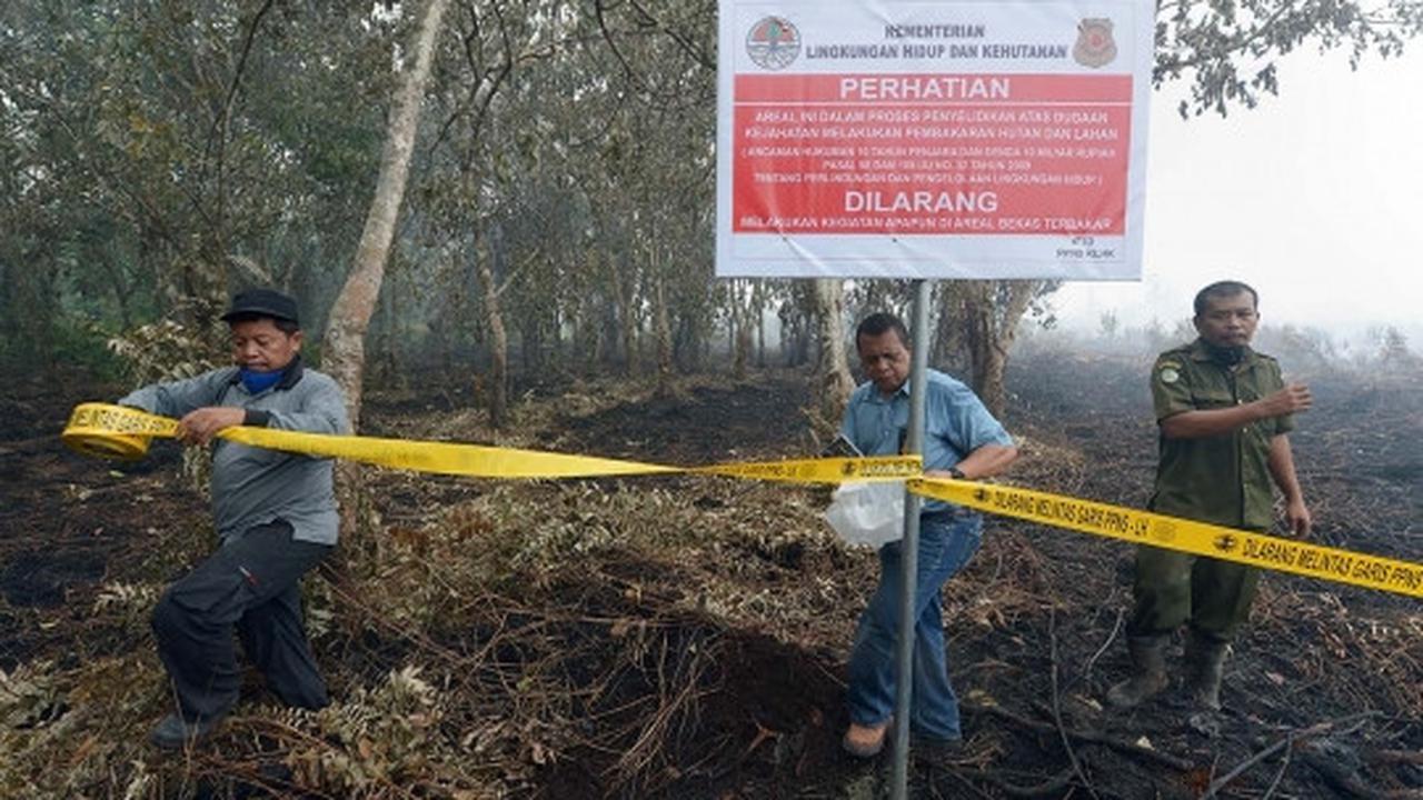 Ini lahan di Riau yang diduga sengaja dibakar