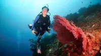 Nadine Chandrawinata bersyukur bisa menikmati alam bawah laut Indonesia (Dok. Instagram/@nadinelist/https://www.instagram.com/p/Bjw33jrhGm5/Komarudin)