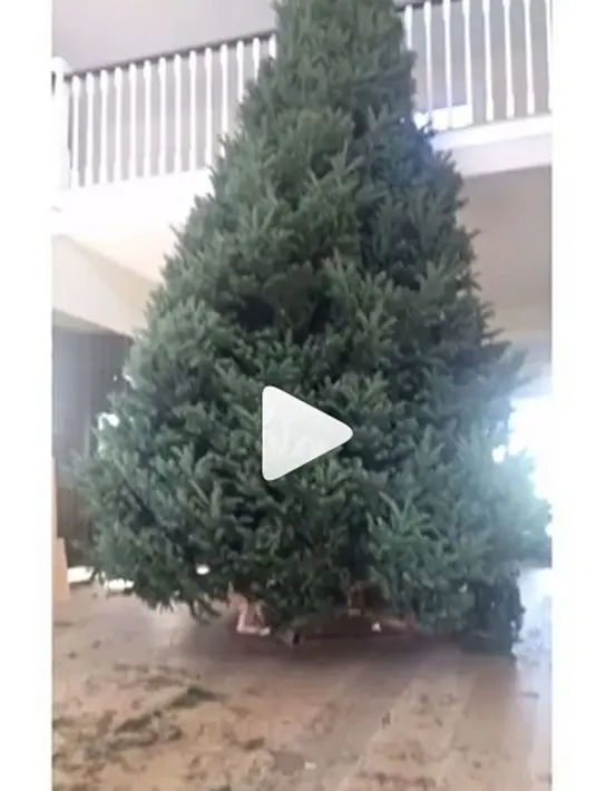 Kekasih Tyga ini memang tergolong wanita yang sukses di usianya yang masih belia. Tak hanya sukses di dunia hiburan, Kylie pun sukses dengan usaha memproduksi kosmetiknya. (Instagram/kylizzlesnapchat)