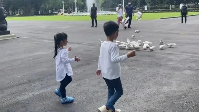 Cucu Jokowi, Jan Ethes dan Sedah Mirah