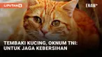 Keji! Oknum TNI Tembak Kucing Gegara Alasan Kebersihan