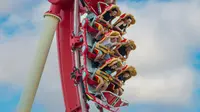 Pria Tewas Usai Naik Roller Coaster di Taman Hiburan Baru Milik Universal, Hasil Autopsi Undang Tanda Tanya