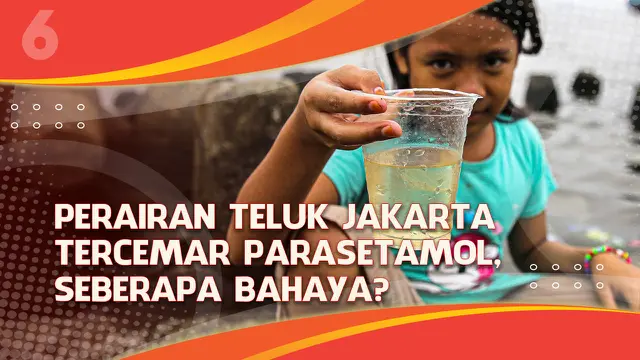 VIDEO Headline: Perairan Teluk Jakarta Tercemar Paracetamol, Seberapa Bahayanya?