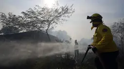 Seorang petugas pemadam kebakaran sukarela menggunakan tusukan dari selang untuk membasahi sisa-sisa gubuk yang terbakar selama kebakaran semak di lingkungan Banco San Miguel di Asuncion, Paraguay (18/1/2022). (AP Photo/Jorge Saenz)