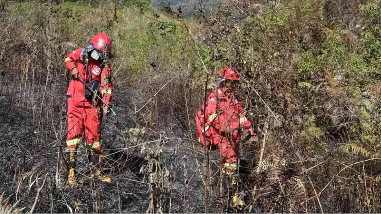 Kementerian Kehutanan (Kemenhut) menangani kebakaran hutan dan lahan (karhutla) yang terjadi di kawasan Taman Nasional Gunung Rinjani (TNGR).