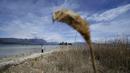 Danau Garda di bagian utara negara ini berada pada level terendah karena kekeringan. (AP Photo/Luca Bruno)