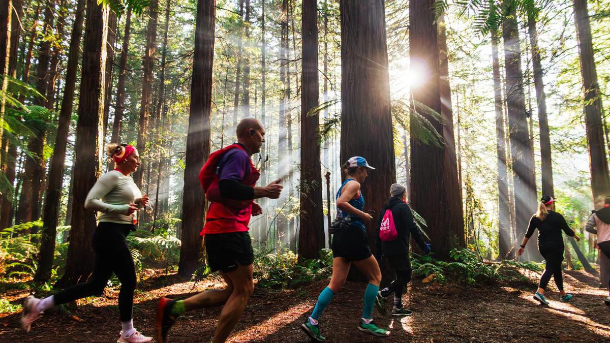 Selandia Baru Serius Garap Wisata Olahraga untuk Tarik Wisatawan Mancanegara, dari Lari hingga Treking di Alam Terbuka