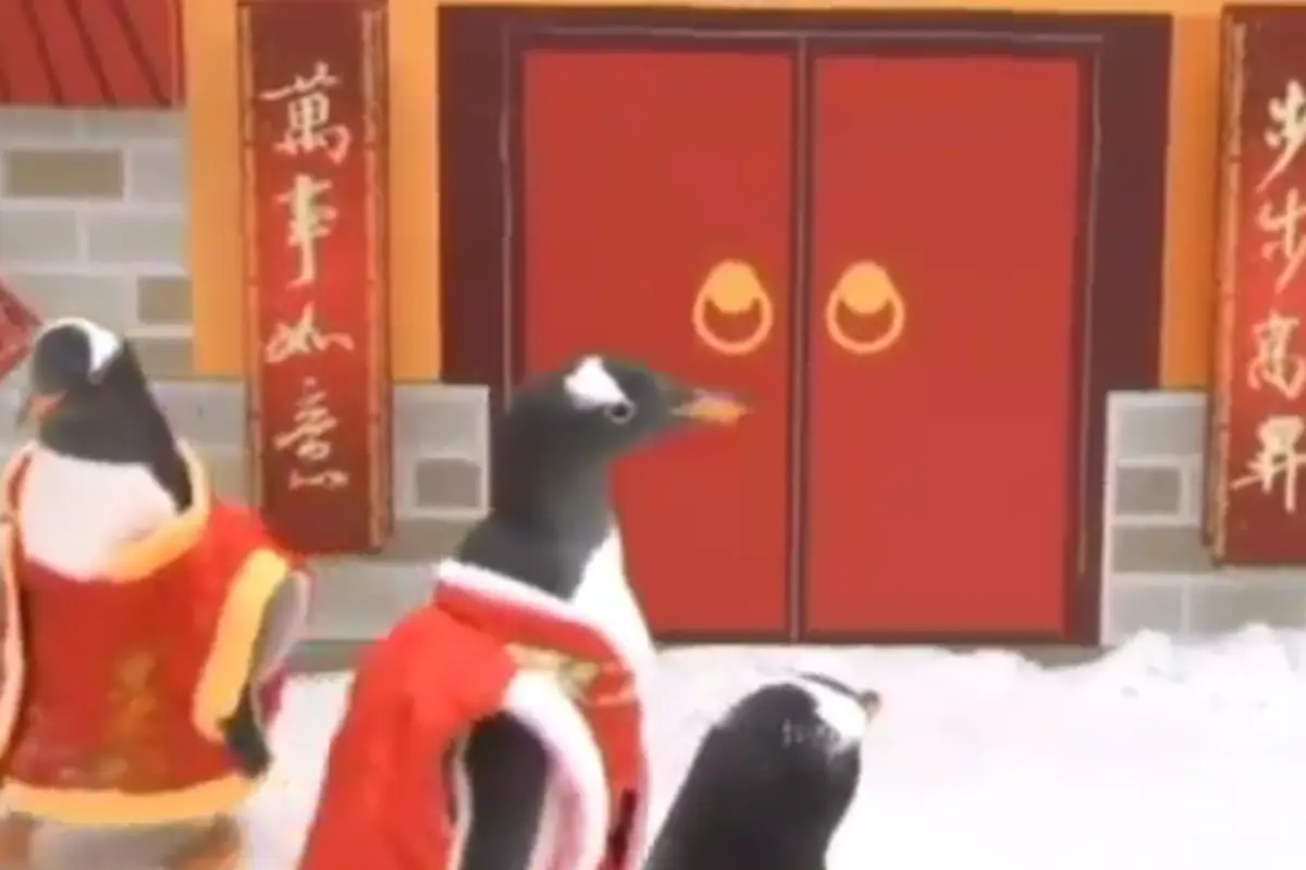 Penguin rayakan Imlek atau Tahun Baru China. (YouTube)