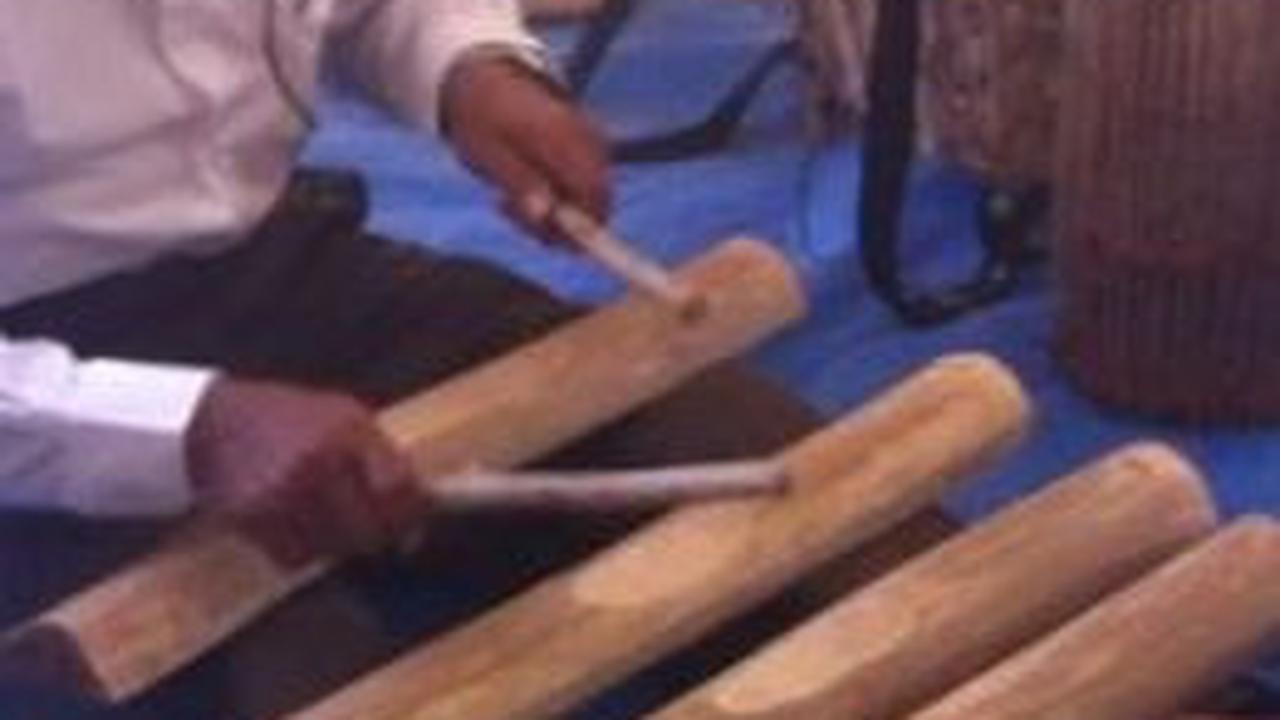 Mengenal Canang Kayu, Alat Musik Tradisional Khas Aceh Singkil
