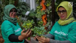 Petugas menunjukkan bibit bunga di Balkot Farm yang terletak di Balai Kota DKI Jakarta, Senin (16/9/2019). Dengan adanya Balkot Farm ini, diharapkan dapat mengajak para pengelola gedung yang ada di Jakarta untuk ikut ambil bagian menerapkan pertanian perkotaan. (Liputan6.com/Faizal Fanani)