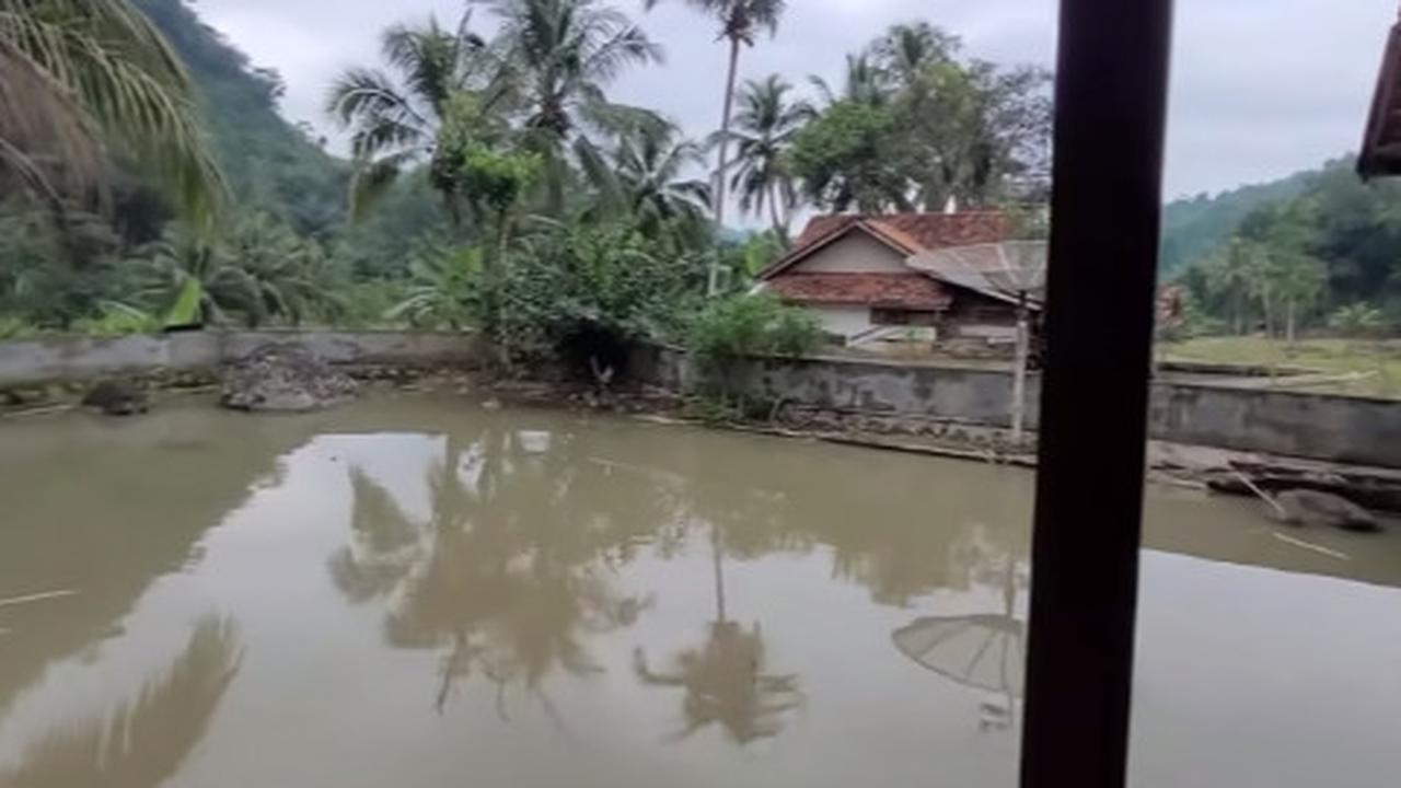 Pria Lanjut Usia Hidup Damai di Tengah Sawah Bareng Istri Muda, Rumahnya Luas dan Bersih