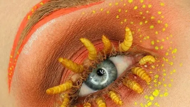 Karya Unik Makeup Artist Pakai Serangga Mati di Wajah