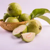 ilustrasi manfaat daun jambu biji untuk kecantikan yang bisa mengatasi komedo di wajah/StockImageFactory.com/shutterstock