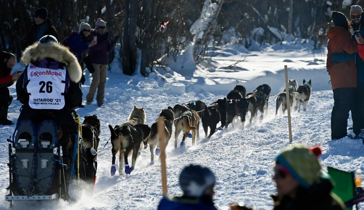 Michelle Phillips meninggalkan Deshka Landing bersama timnya saat Iditarod Sled Dog Race di Deshka Landing di Willow, Alaska, Minggu (7/3/2021). Sled Dog Trail merupakan lomba balap kereta luncur yang ditarik oleh anjing yang digelar tiap tahun. (Marc Lester/Anchorage Daily News via AP)