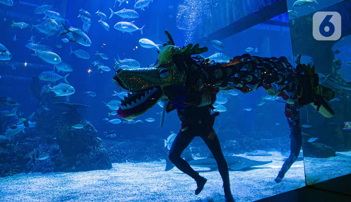 Liong beraksi menghibur pengunjung di Jakarta Aquarium & Safari (JAQS), Jakarta Barat, Jumat (12/2/2021). Pertunjukan Liong Show bawah air yang diikuti oleh para putri duyung tersebut untuk memeriahkan Hari Raya Imlek 2572 atau Tahun Baru China. (Liputan6.com/Faizal Fanani)