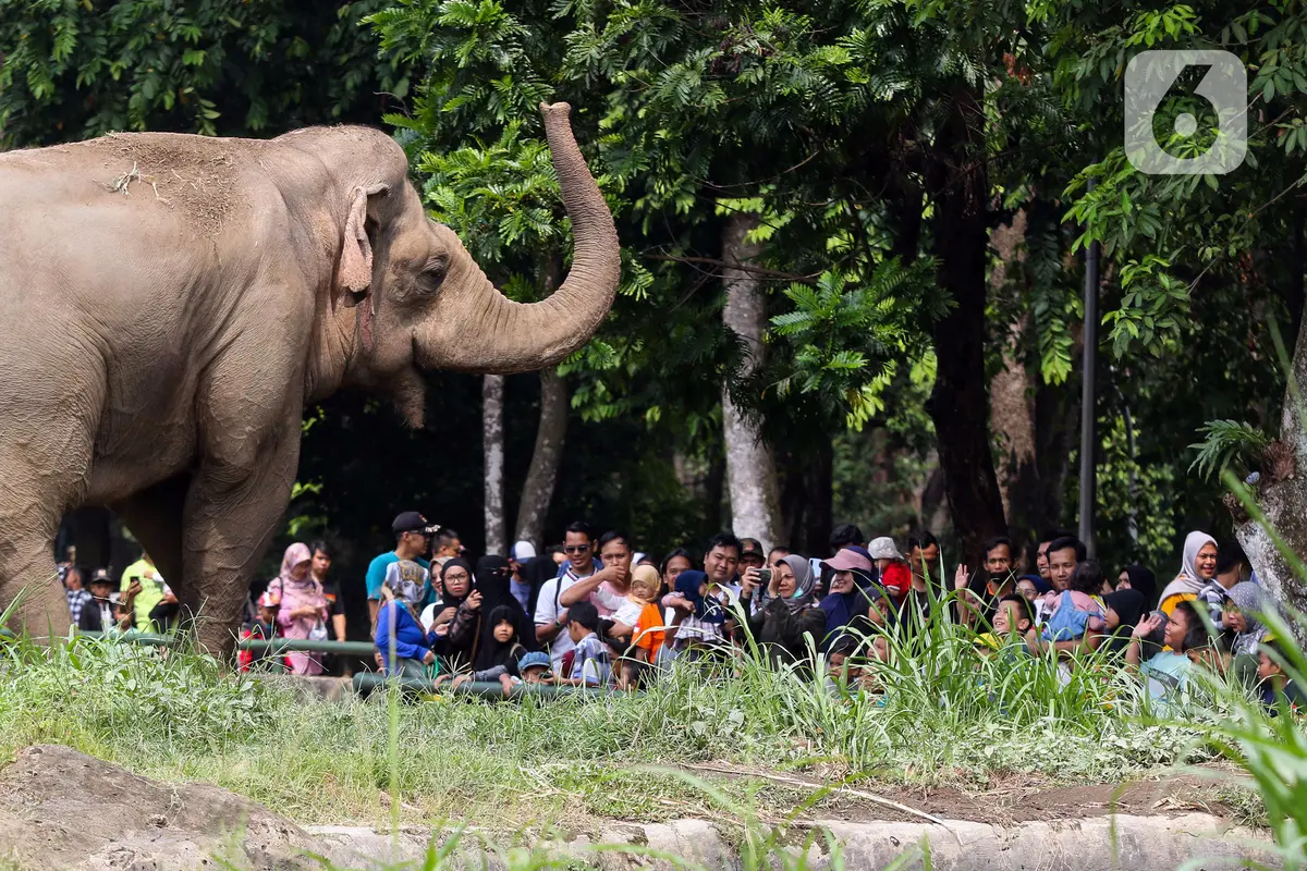 Taman Margasatwa Ragunan