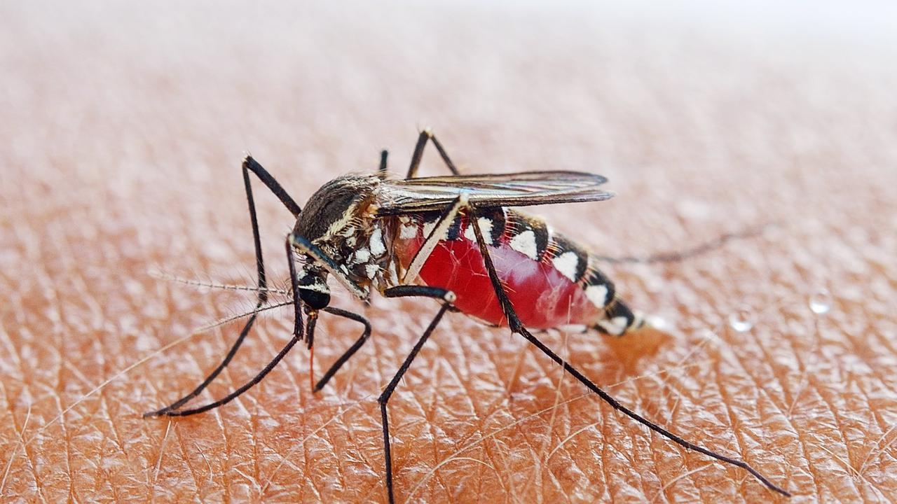 [Bintang] Gempa Magnitudo 5,4 yang Guncang Bali Terasa Sampai ke Lombok