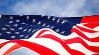 Ilustrasi Amerika Serikat (Dok. Pixabay/oohhsnapp)