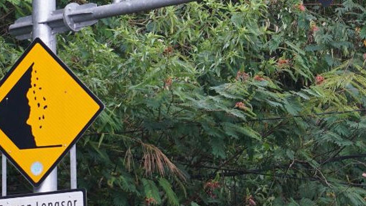 Ganjil Genap di Jalur Puncak Bogor Diberlakukan hingga Libur Tahun Baru 2024