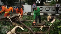 Petugas Damkar PB dibantu warga memotong bagian pohon yang tumbang di Jalan Kemang Raya, Jakarta, Sabtu (7/11/2015). Tidak ada korban dalam peristiwa ini. (Liputan6.com/Helmi Fithriansyah)