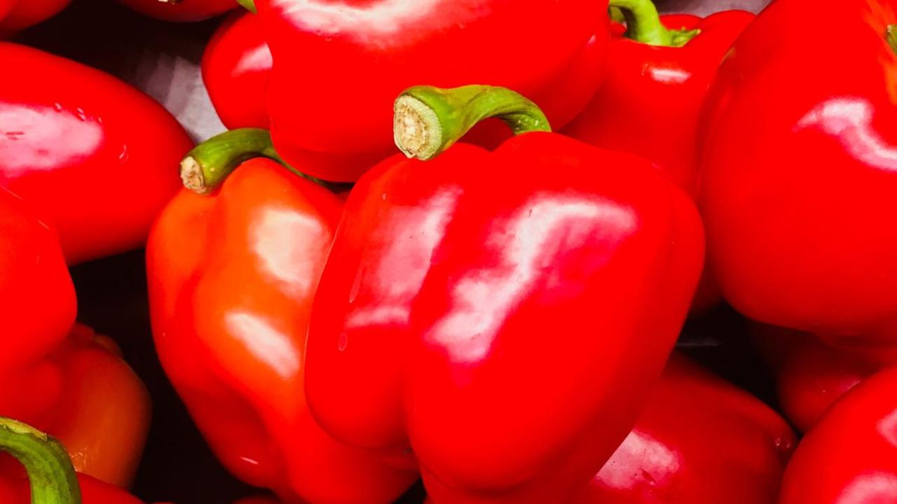 Paprika Merah