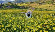 14 Tempat Makan di Trawas Paling Hits 2026, dari Warung Tepi Sawah sampai Cafe View Gunung