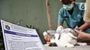 Kartu vaksinasi rabies terlihat saat warga membawa hewan peliharaannya untuk mengikuti vaksinasi rabies gratis dari Sudin KPKP Jakarta Selatan di Taman Pasar Ciplak, Karet, Kuningan, Jakarta, Selasa (30/5/2023). (merdeka.com/Iqbal S. Nugroho)